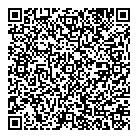 Msm Electric QR Card