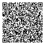 Dillon Consulting Ltd QR Card