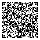 Snc-lavalin Inc QR Card