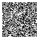 Leisure Store Inc QR Card