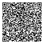 Slingpenguin Solutions Inc QR Card