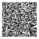 Demesa Inc QR Card